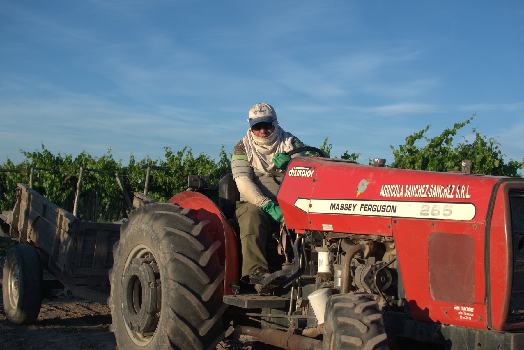Cosecha con tractor de la empresa